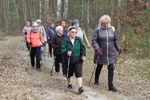 Rajd nordic walking ścieżkami lasów tomaszowskich