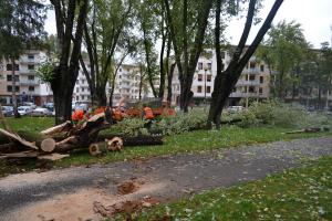 Służby pracują nad usuwaniem skutków wichury 